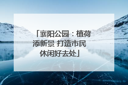 襄阳公园：植荷添新景 打造市民休闲好去处