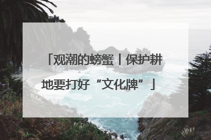 观潮的螃蟹丨保护耕地要打好“文化牌”
