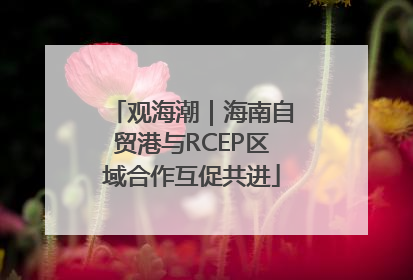 观海潮｜海南自贸港与RCEP区域合作互促共进