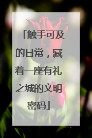 触手可及的日常，藏着一座有礼之城的文明密码