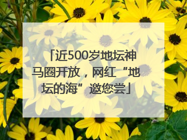近500岁地坛神马圈开放，网红“地坛的海”邀您尝