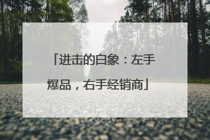 进击的白象：左手爆品，右手经销商