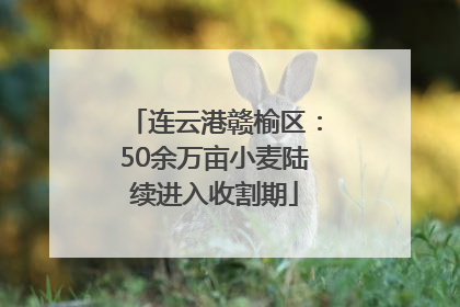 连云港赣榆区：50余万亩小麦陆续进入收割期