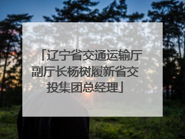 辽宁省交通运输厅副厅长杨树履新省交投集团总经理