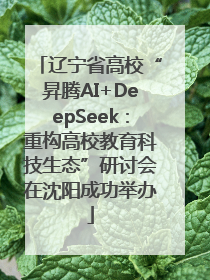辽宁省高校“昇腾AI+DeepSeek：重构高校教育科技生态”研讨会在沈阳成功举办