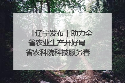辽宁发布｜助力全省农业生产开好局 省农科院科技服务春耕备耕成效显著