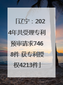 辽宁：2024年共受理专利预审请求7468件 获专利授权4213件