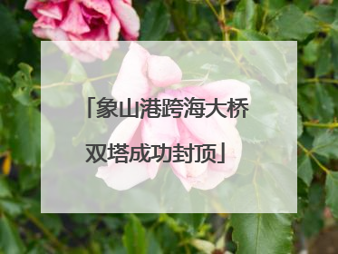 象山港跨海大桥双塔成功封顶