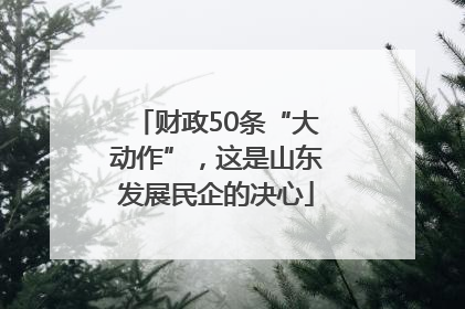 财政50条“大动作”，这是山东发展民企的决心