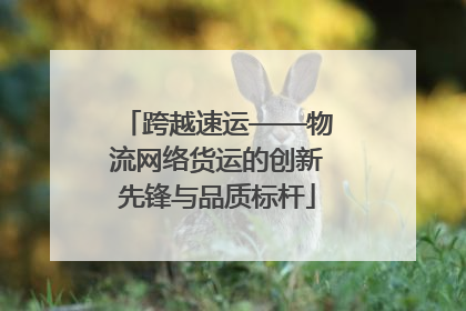 跨越速运——物流网络货运的创新先锋与品质标杆