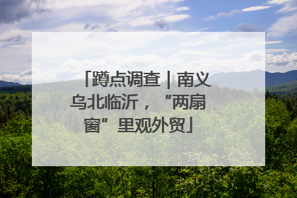 蹲点调查｜南义乌北临沂，“两扇窗”里观外贸