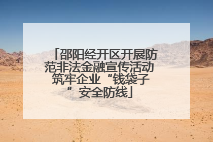 邵阳经开区开展防范非法金融宣传活动 筑牢企业“钱袋子”安全防线