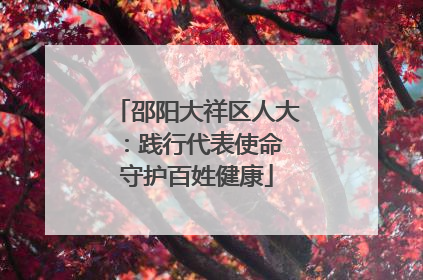 邵阳大祥区人大：践行代表使命 守护百姓健康