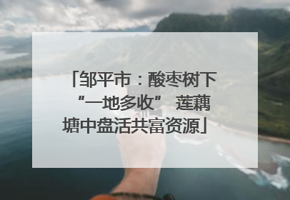 邹平市：酸枣树下“一地多收” 莲藕塘中盘活共富资源