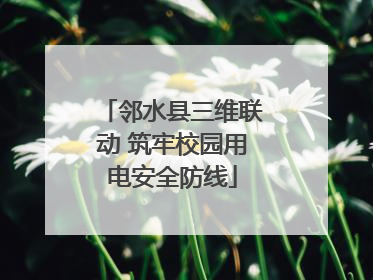 邻水县三维联动 筑牢校园用电安全防线