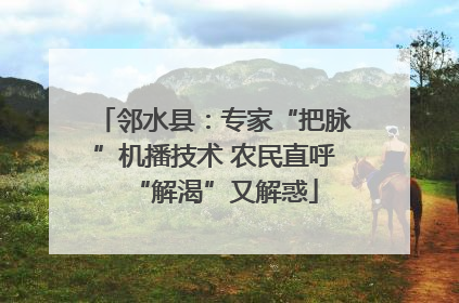 邻水县：专家“把脉”机播技术 农民直呼“解渴”又解惑