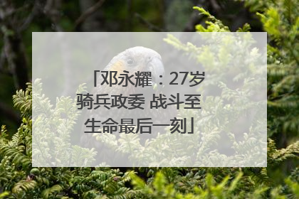 邓永耀：27岁骑兵政委 战斗至生命最后一刻