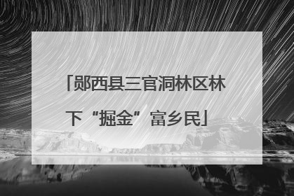郧西县三官洞林区林下“掘金”富乡民