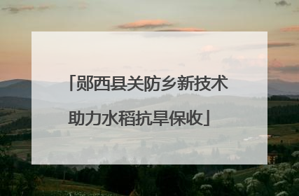 郧西县关防乡新技术助力水稻抗旱保收