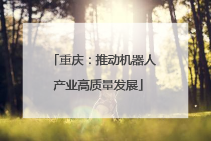 重庆：推动机器人产业高质量发展