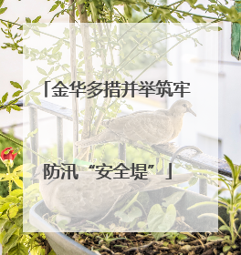 金华多措并举筑牢防汛“安全堤”