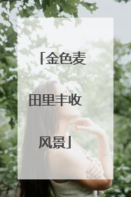 金色麦田里丰收风景