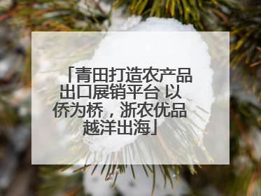 青田打造农产品出口展销平台 以侨为桥，浙农优品越洋出海