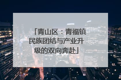青山区：青福镇民族团结与产业升级的双向奔赴