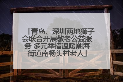 青岛、深圳两地狮子会联合开展敬老公益服务 多元举措温暖潮海街道南杨头村老人