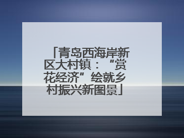 青岛西海岸新区大村镇：“赏花经济”绘就乡村振兴新图景