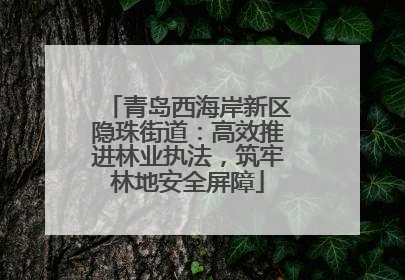 青岛西海岸新区隐珠街道：高效推进林业执法，筑牢林地安全屏障