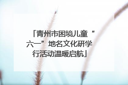 青州市困境儿童“六一”地名文化研学行活动温暖启航