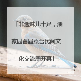 非遗味儿十足，潘家园首届京台民间文化交流周开幕