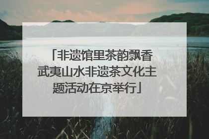 非遗馆里茶韵飘香 武夷山水非遗茶文化主题活动在京举行