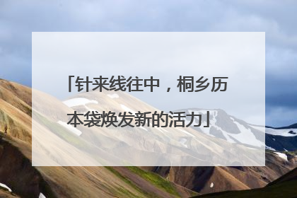 针来线往中，桐乡历本袋焕发新的活力