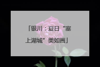 银川：夏日“塞上湖城”美如画