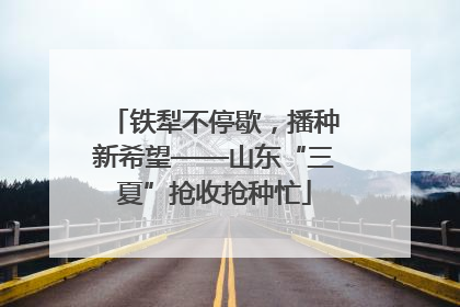 铁犁不停歇，播种新希望——山东“三夏”抢收抢种忙