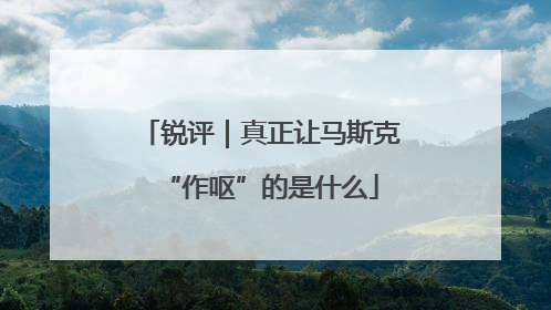 锐评｜真正让马斯克“作呕”的是什么