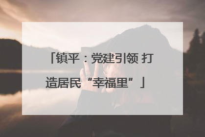 镇平：党建引领 打造居民“幸福里”