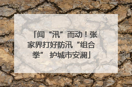 闻“汛”而动！张家界打好防汛“组合拳” 护城市安澜