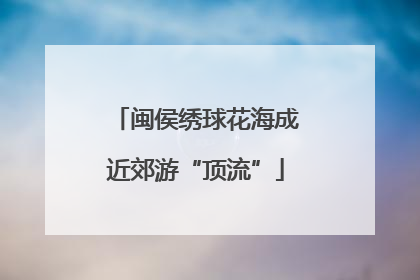 闽侯绣球花海成近郊游“顶流”