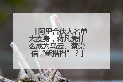 阿里合伙人名单大瘦身，蒋凡凭什么成为马云、蔡崇信“新搭档”？