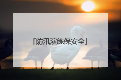 防汛演练保安全