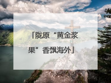 陇原“黄金浆果”香飘海外