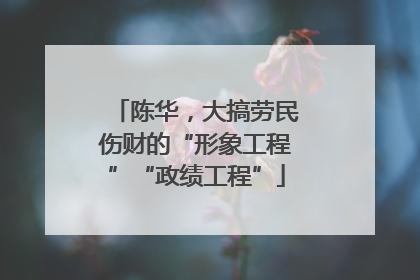 陈华，大搞劳民伤财的“形象工程”“政绩工程”