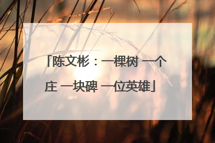 陈文彬：一棵树 一个庄 一块碑 一位英雄