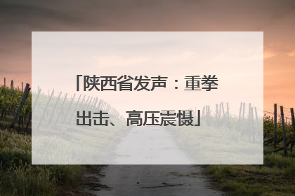 陕西省发声：重拳出击、高压震慑