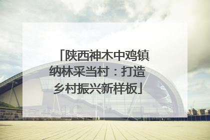 陕西神木中鸡镇纳林采当村：打造乡村振兴新样板