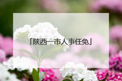 陕西一市人事任免