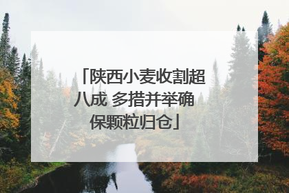 陕西小麦收割超八成 多措并举确保颗粒归仓